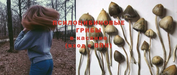 ГАЛЛЮЦИНОГЕННЫЕ ГРИБЫ Верхнеуральск