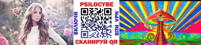 Купить  Хотьково  Псилоцибиновые грибы Psilocybe 